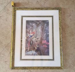 Framed print of parrot 41” x 33” $40 OBO