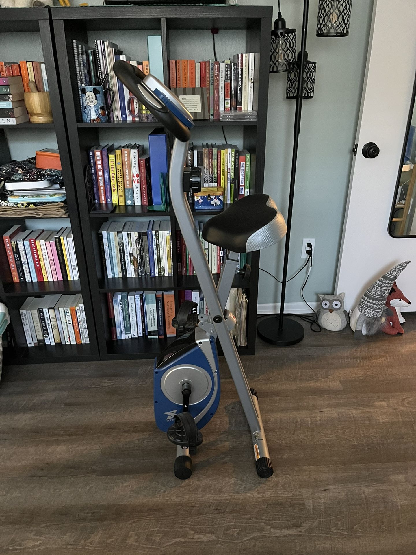 Folding Exercise Bike