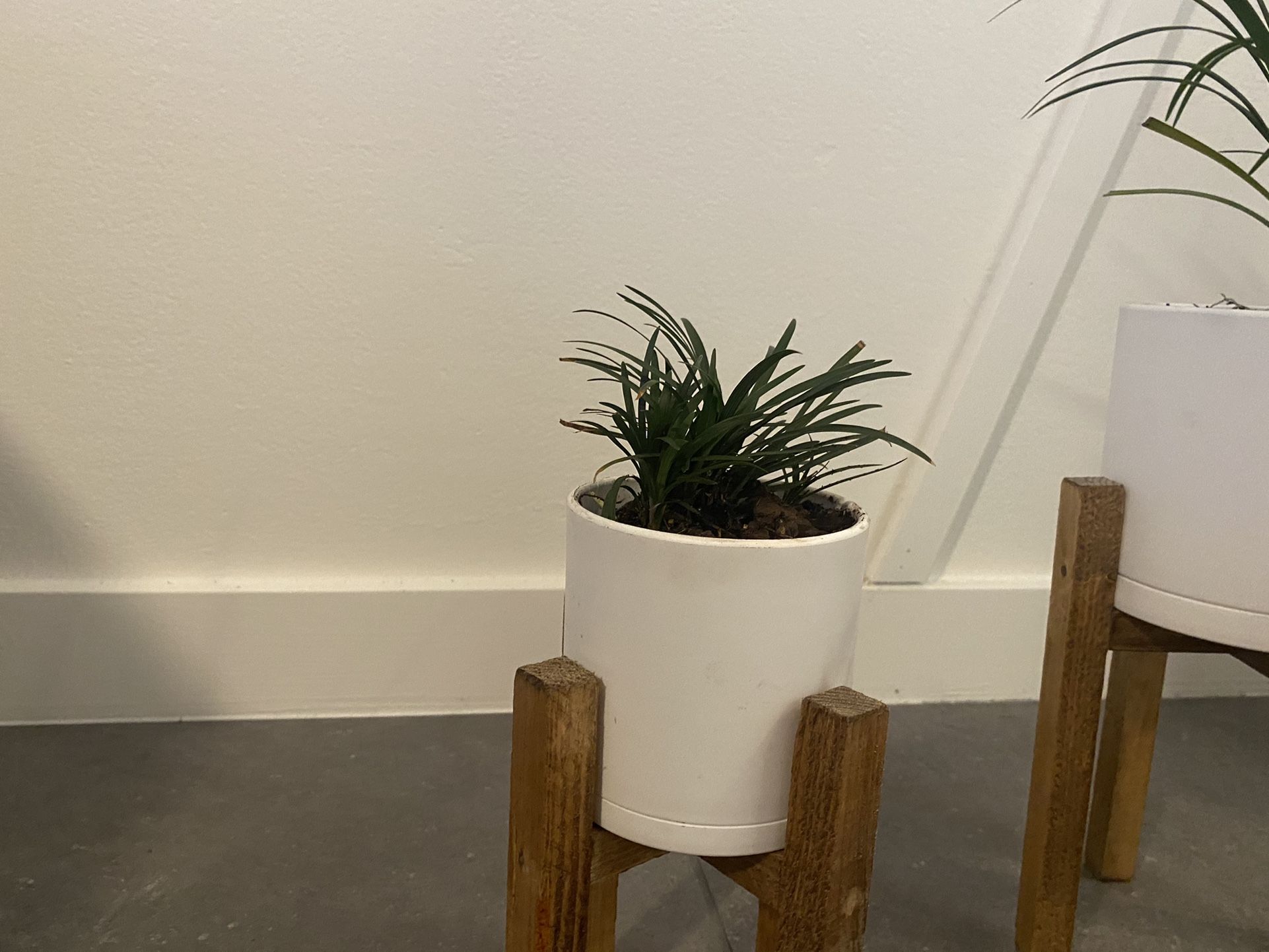 House Plants Planters and Stands Set Of 3