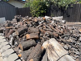 Large Oak Firewood / Logs — Approx. 2+ Cords — $200 OBO