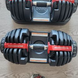 Bowflex Weight Set