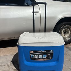 igloo cooler