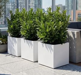 5 Seeley Cube Block Planters 24” square white fiberglass. Brand new. Unused.