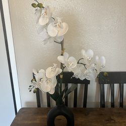 Fake Plant