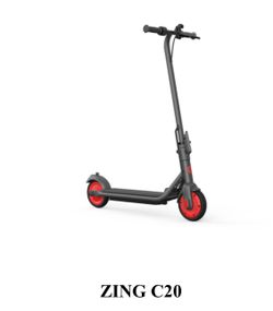 Ninebot eKickScooter ZING C20_Barely Used, Like New