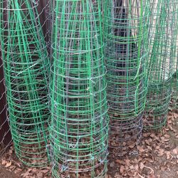 Tomato Cages