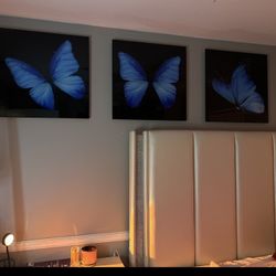 3 piece acrylic butterfly paintings 