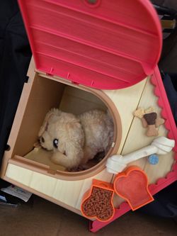 Pet alive dog n house