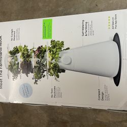 nook farmstabd lettuce grow 