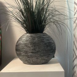 Plant Decor