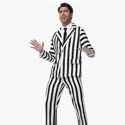 Beetlejuice Costume/ Men XL 