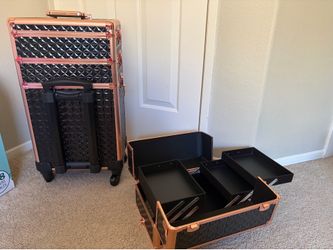 Professional makeup case