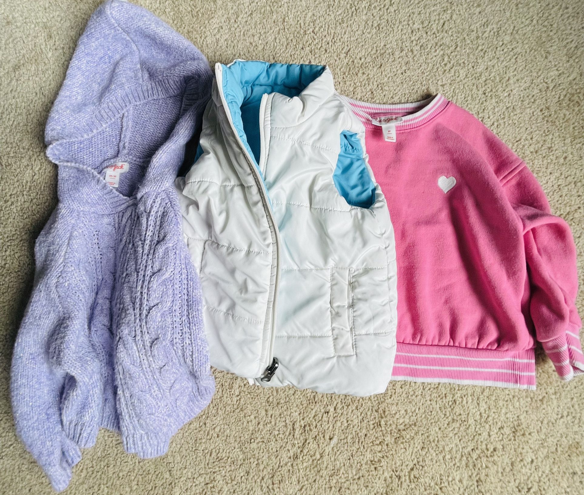 3 Pack: Assorted 3T Girl's Heavy Tops