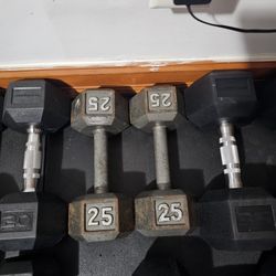 25 Lb. Dumbbells 
