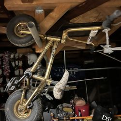 Gold Fat Boy Bmx