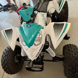 2024 Polaris Outlaw 110