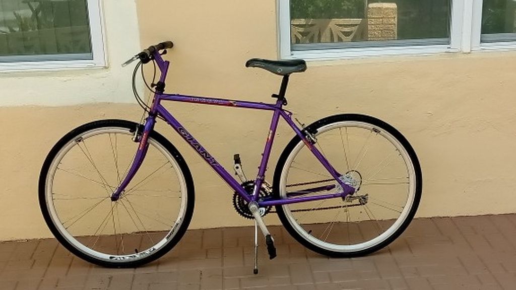 wave electric bicycle Fifield Rogue Wave