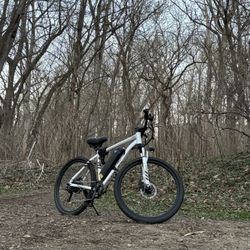 E-bike