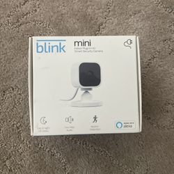 Blink Mini 