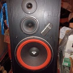 Two Cerwin Vegas Ls12 Speakers Tested Working Stereo Wood Cabinets 