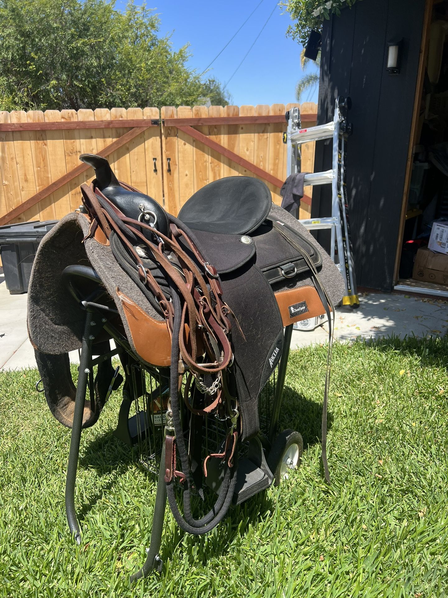 Abetta Pathfinder Saddle - Complete Trail Riding Set