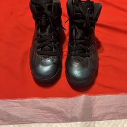 Jordan’s 6’s 