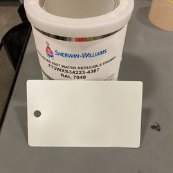 Water Base Paint