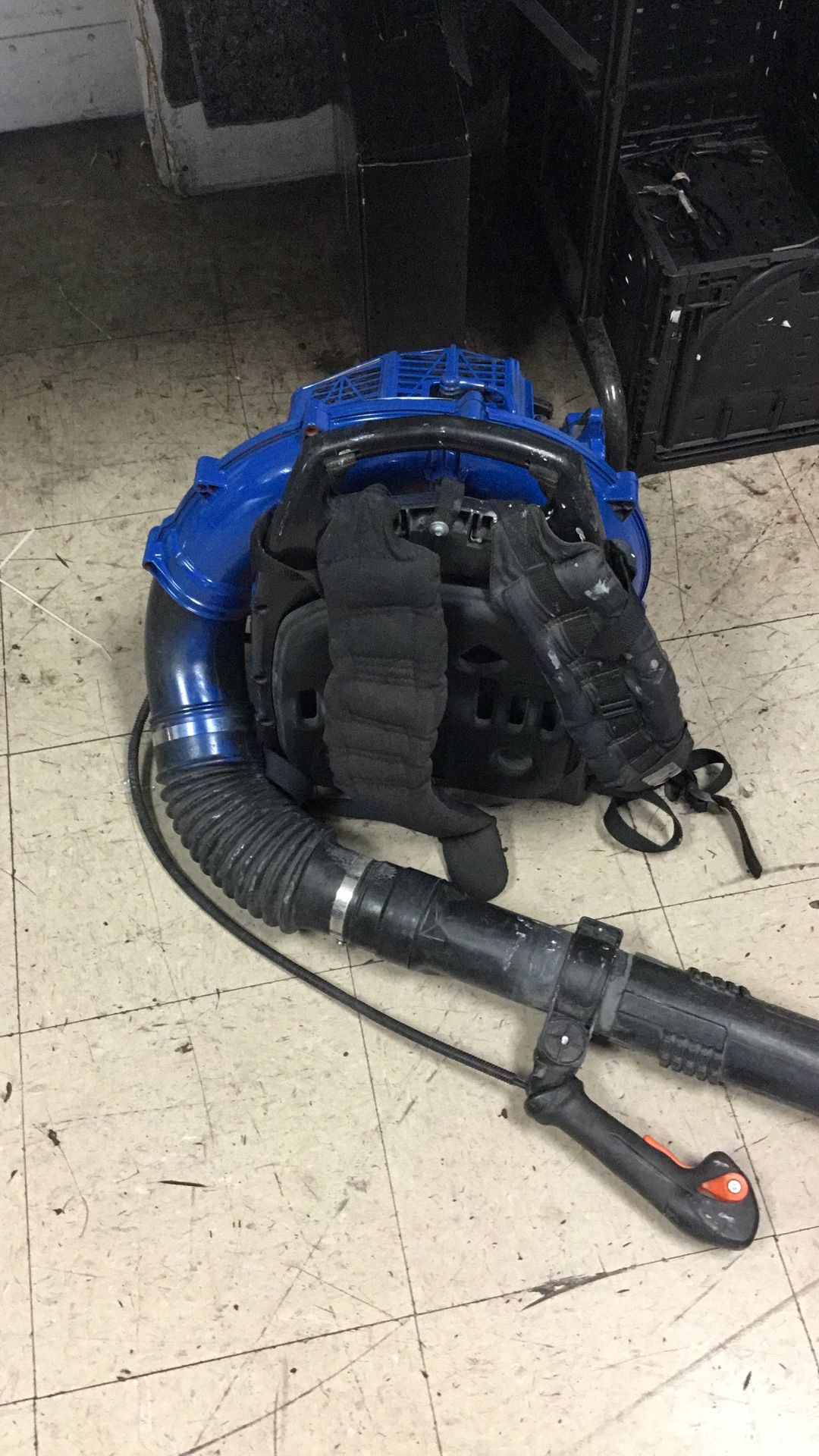 Leaf Blower Echo