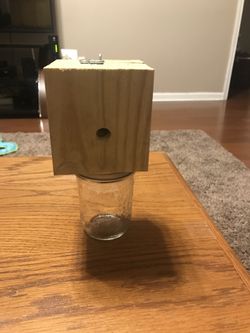 Carpenter Bee Traps