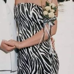 sachin and babi light blue dress SHOW US WHAT YOU GOT SATIN MINI DRESS IN ZEBRA PRINT – AKIRA main image 1