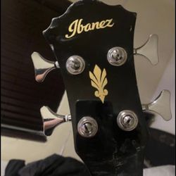 Ibanez AEB5 Acoustic Electric Bass Guitar