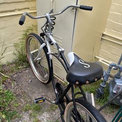 Original Schwinn Cruiser (Bike)
