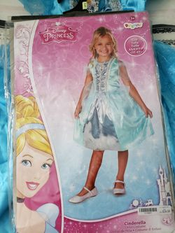 Halloween Cinderella costume