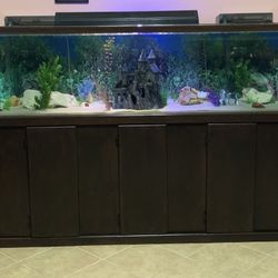 Aquarium For Sale