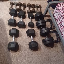 Loads Of Dumbells, Abs Roller, Pullups/Abs Station, And Bench