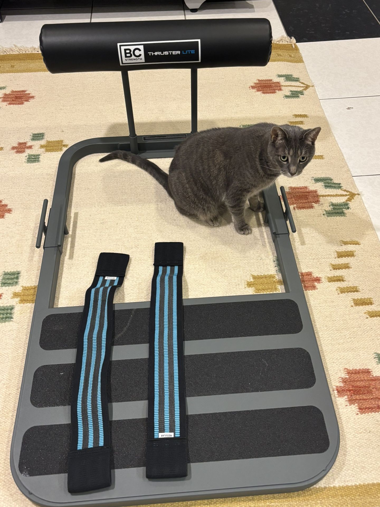 BC Strength Hip thruster with Two Resistance Band 