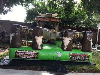 Bull