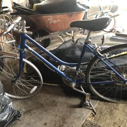 Schwinn Bicycle