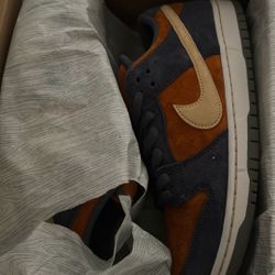 Nike Sb Light Carbon 