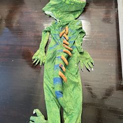 Green Iguana Costume 