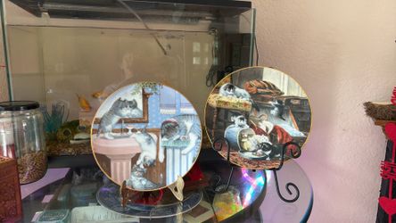 Ceramic art, collection item