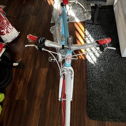 New Belgium Bike