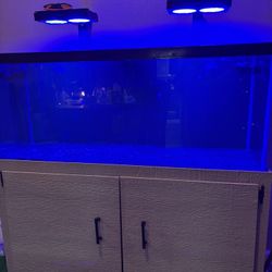 75 Gallon Saltwater Tank 