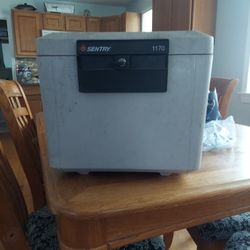 Sentry Safe 1170