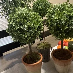 Artificial Plants