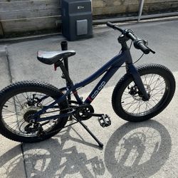 20” REI Coop Rev 20 (Boy’s Bike)