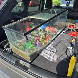 Fish Tank