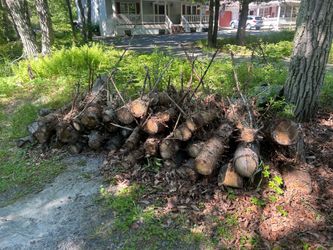 FREE Wood
