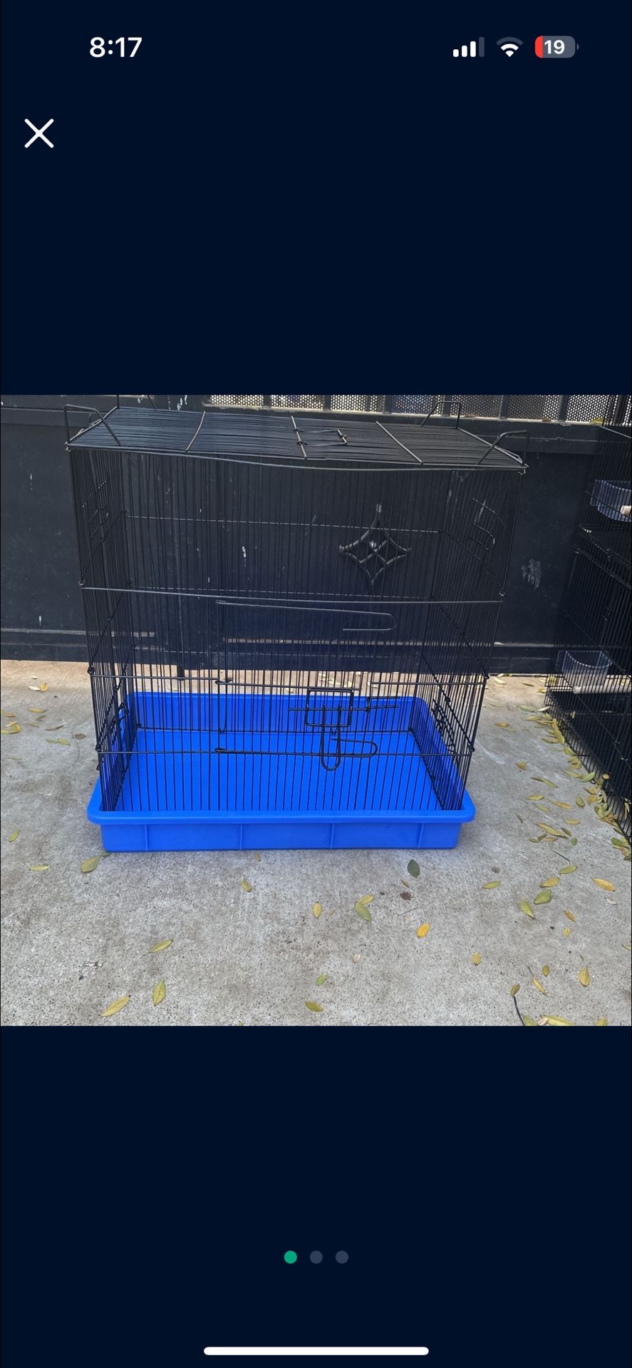 Bird Cage