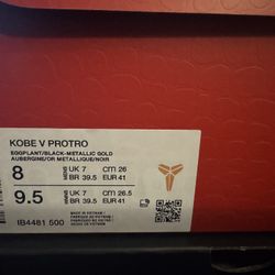 Kobe 5